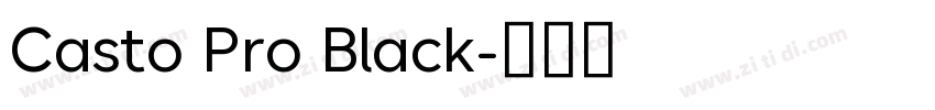 Casto Pro Black字体转换